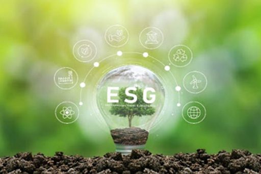 ESG Environmental, Social & Governance Goals